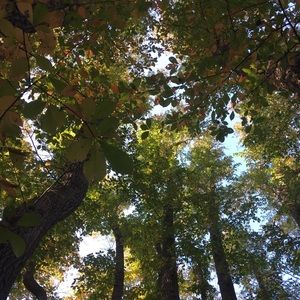 Meet your Posher, Jon